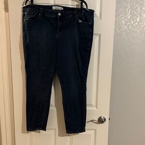 Torrid Women's Skinny Fit Dark Blue Jeans LIGHTLY WORN